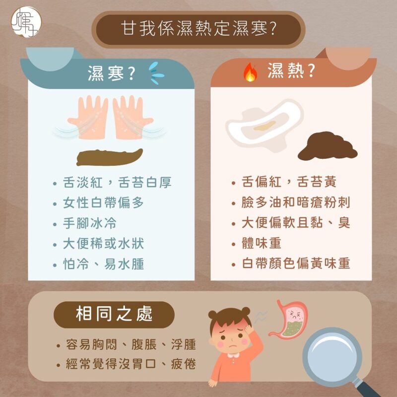 雁月中醫：您是濕寒定濕熱？