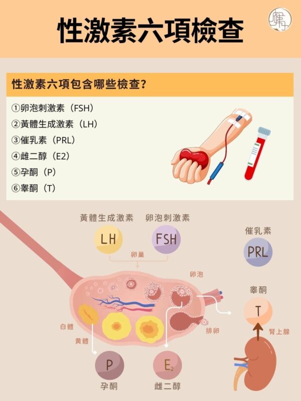 性激素六項-檢查內容